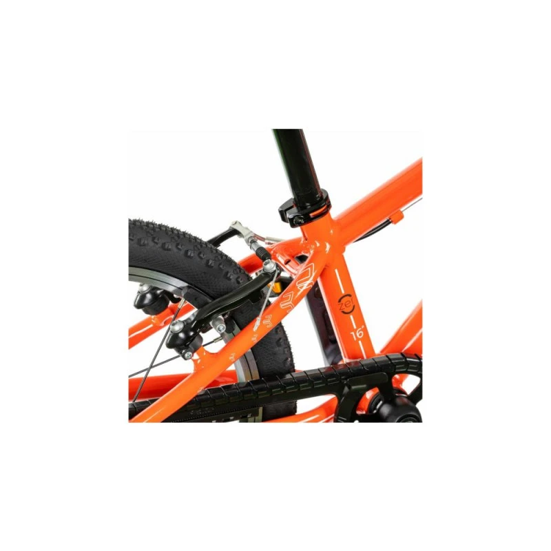 Beany Zero 16 10 Beany Zero 16 – Image 8